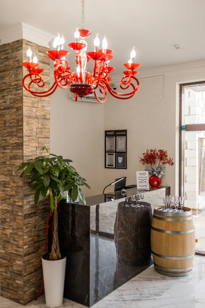 Отель Spa Hotel VINTAGE