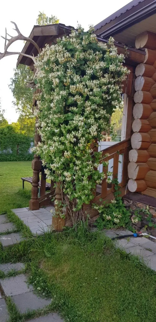 Гостевой дом Ржев-Волга