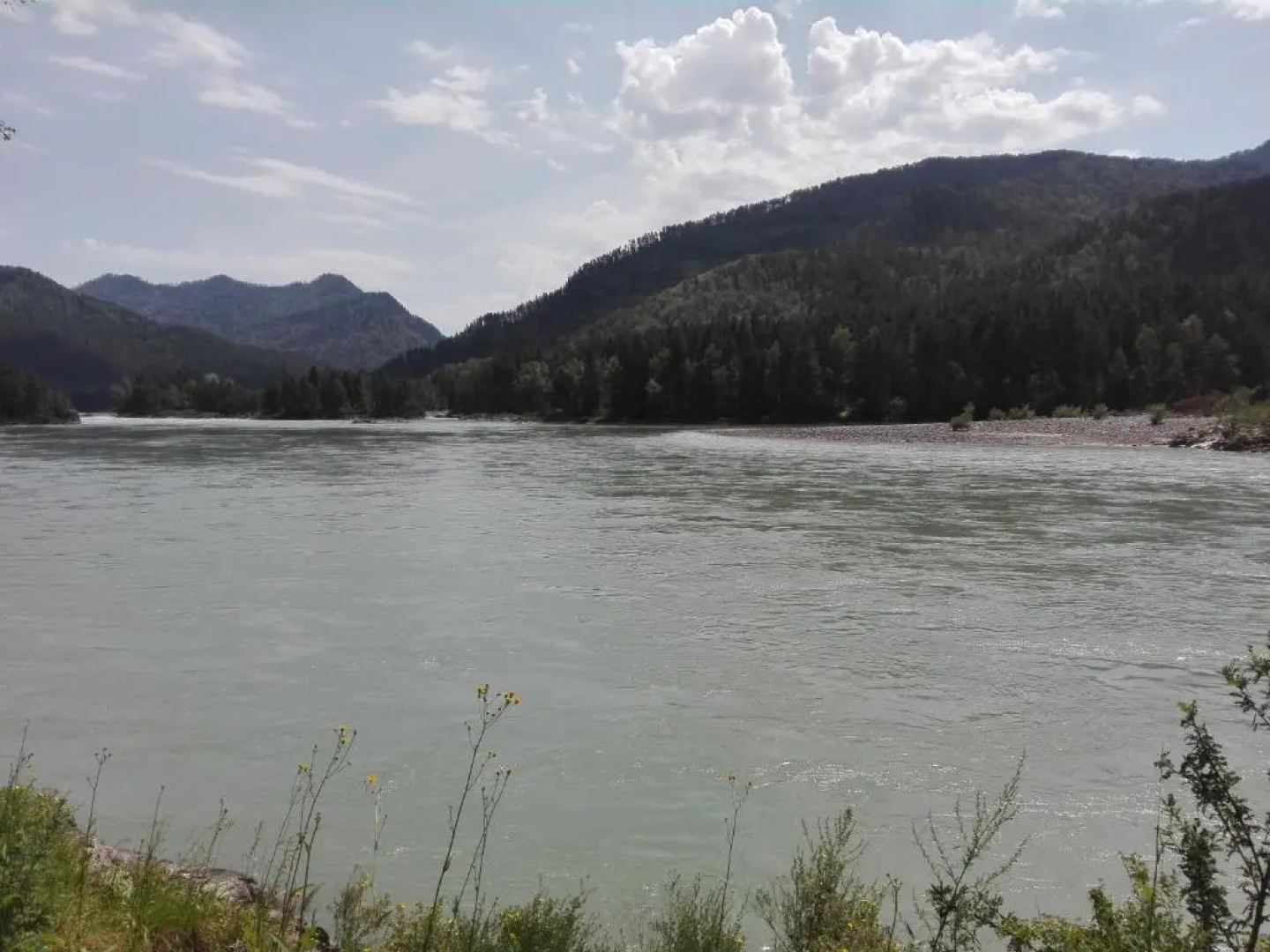 Гостевой дом Альбатрос