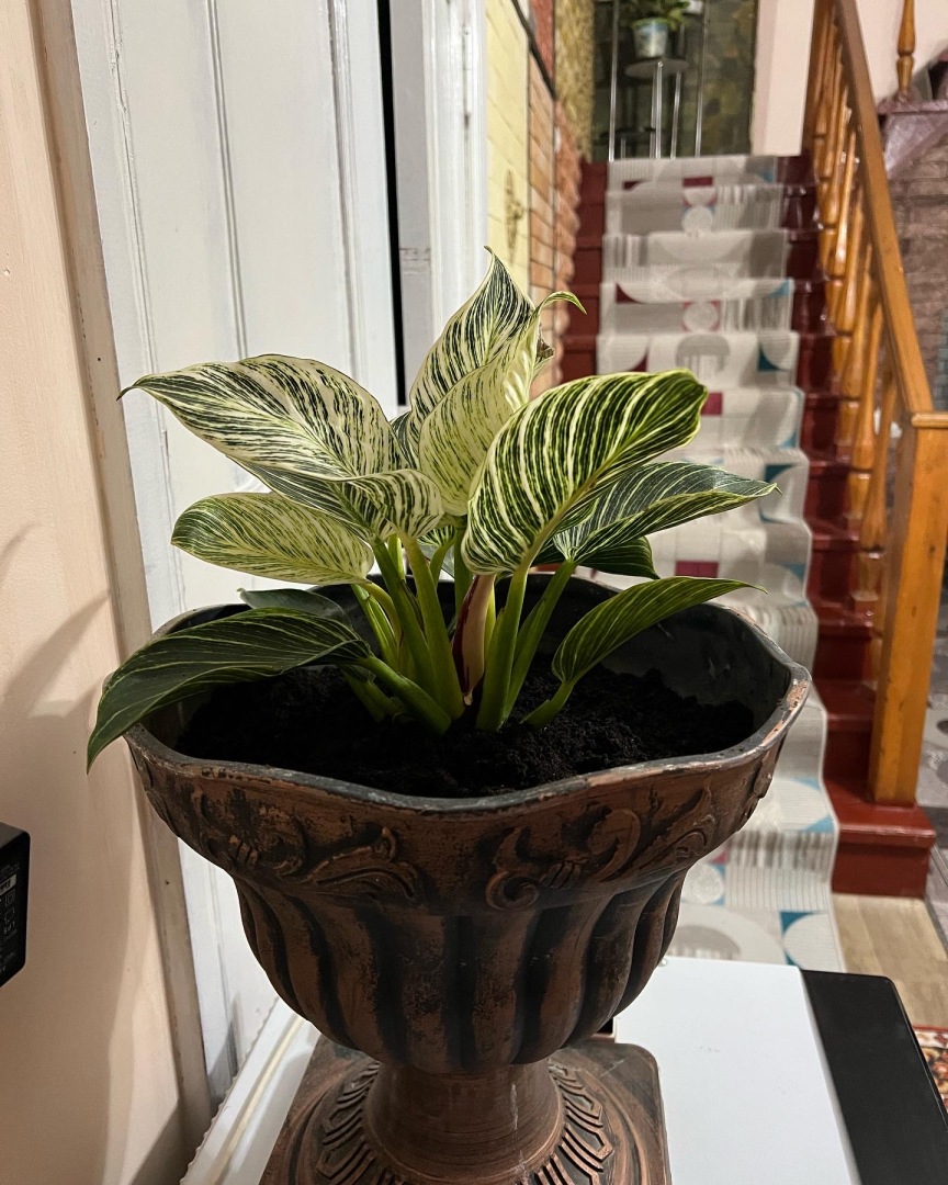 Хостел Эдем Бишкек