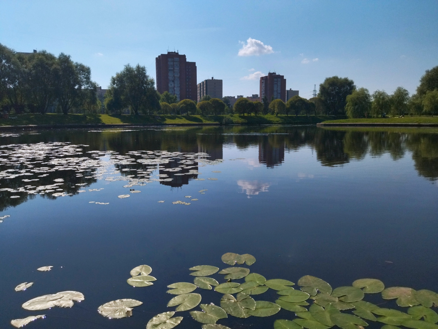 Апартаменты на проспекте Косыгина 17