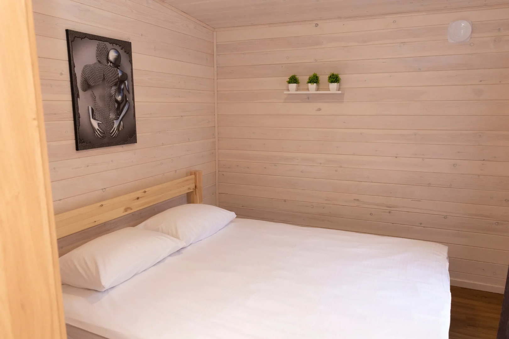 Частный дом Манский фрейм