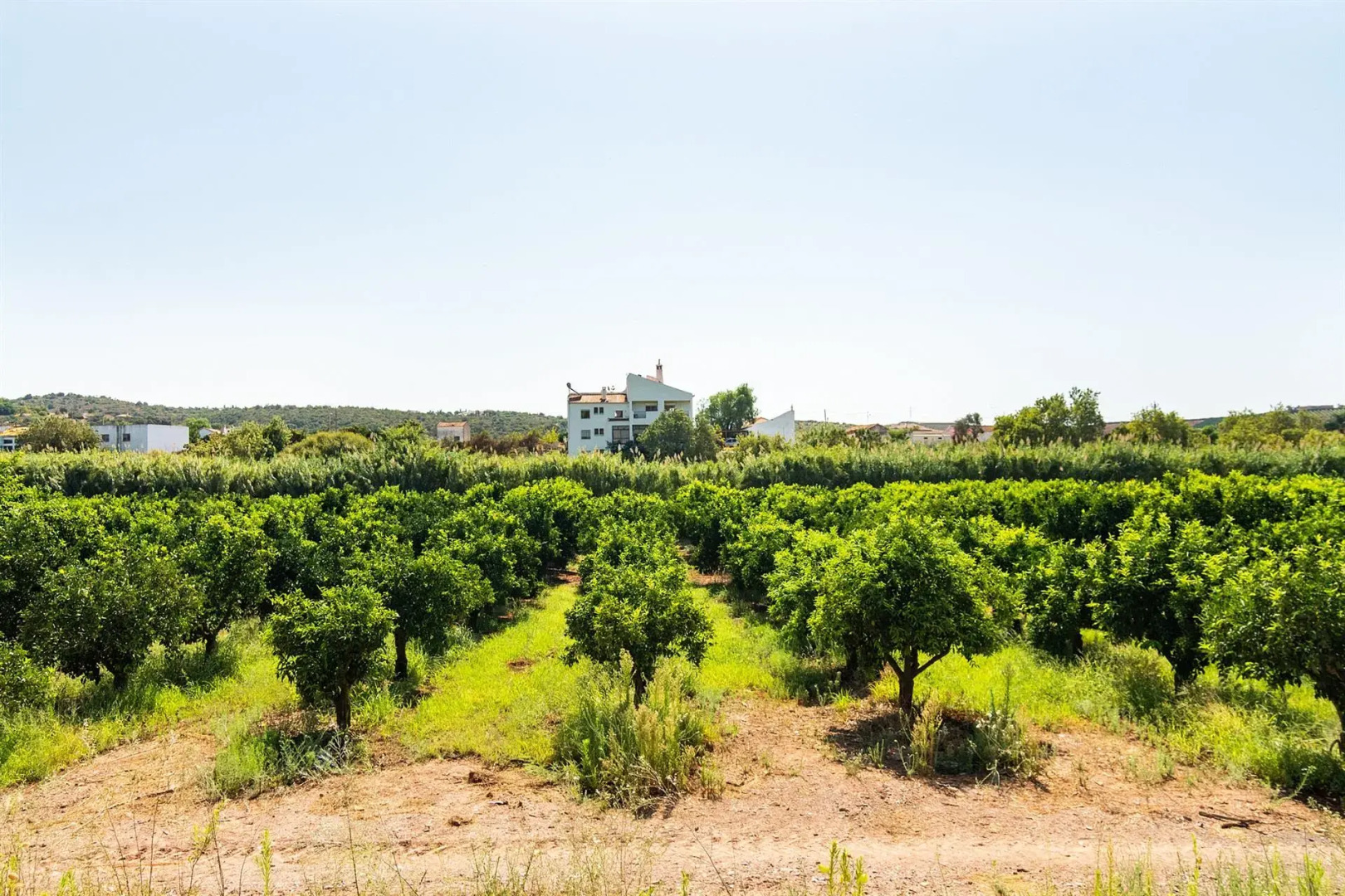 Вилла Casa da Costa