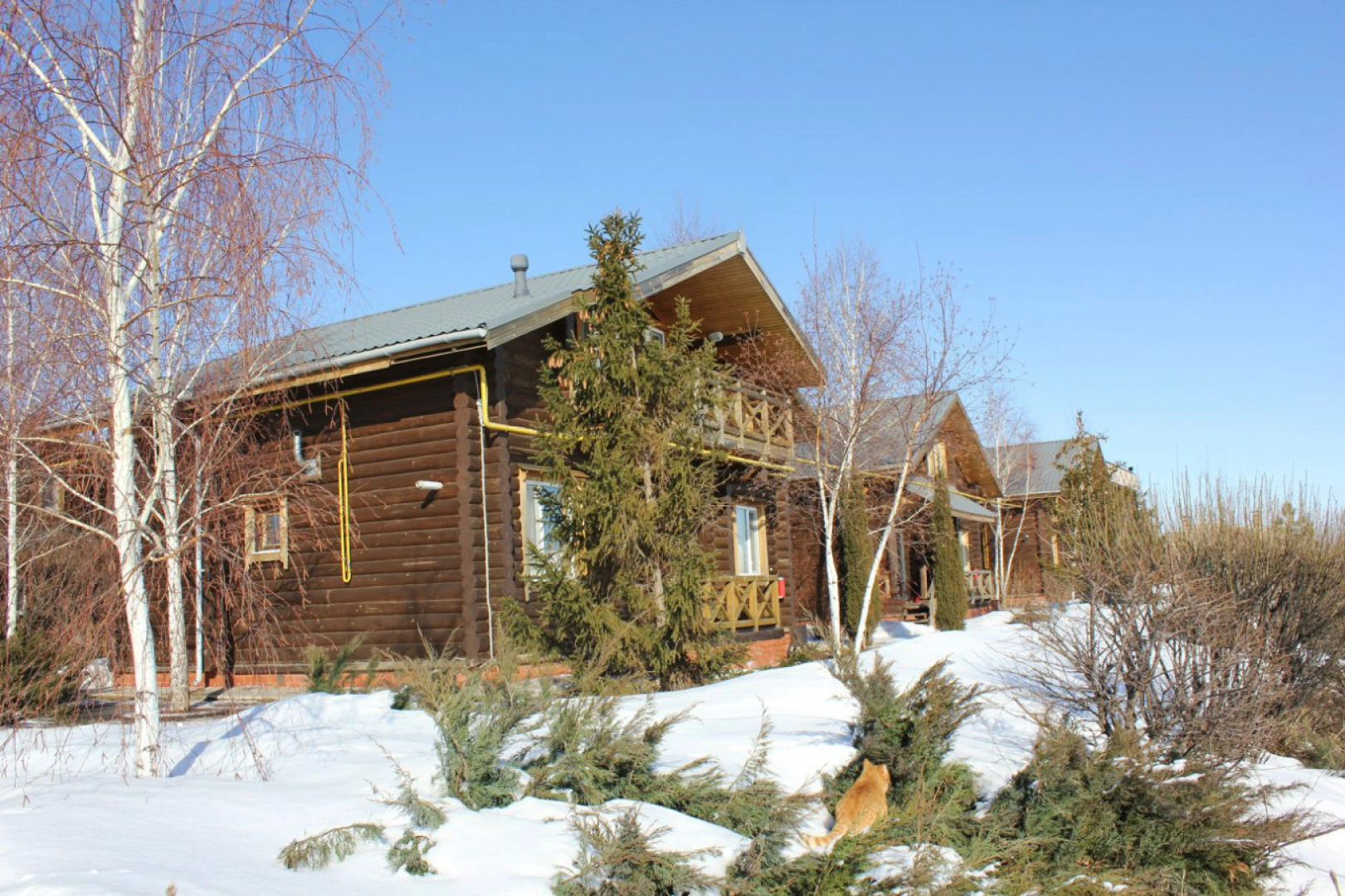 База Отдыха Подсолнух