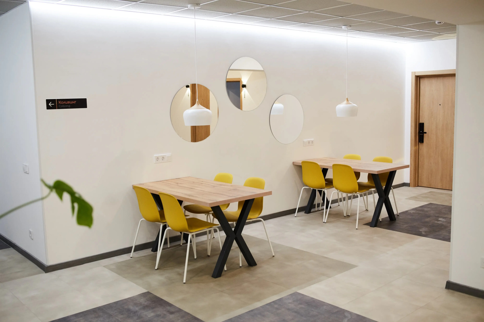 Коливинг Запятая