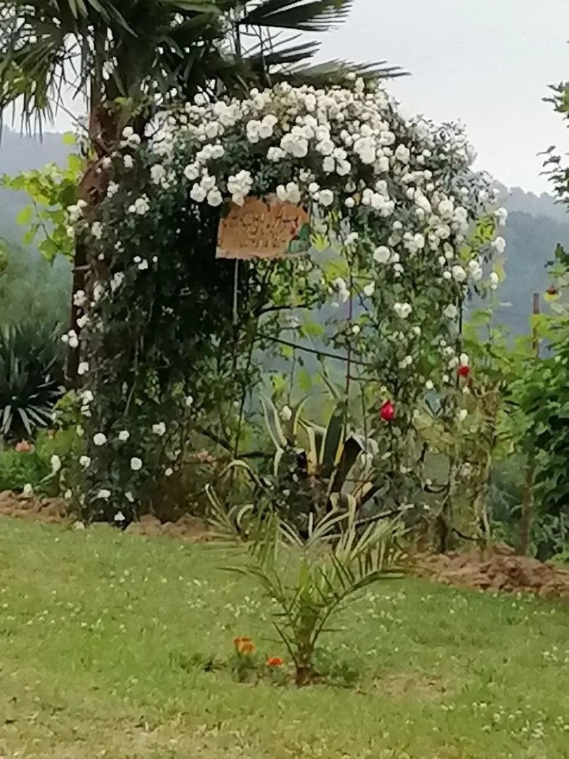 Гостевой дом  У Андрея и Анны