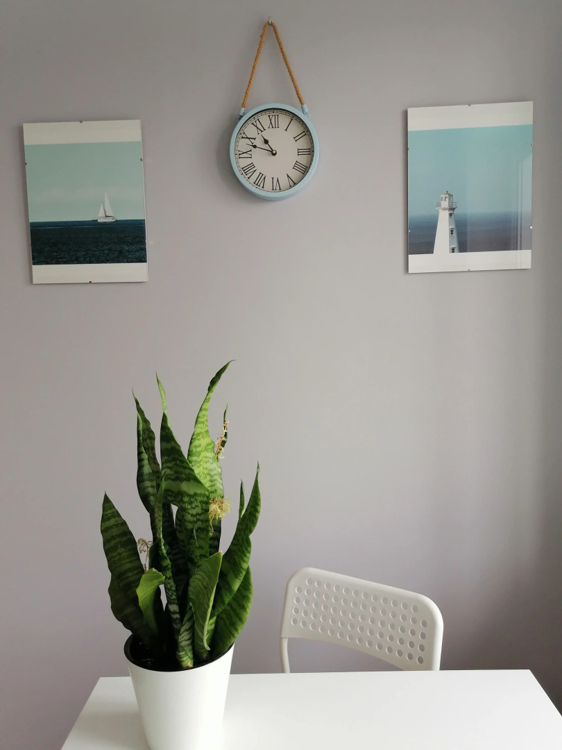 Уютная Квартира на Калужской 26