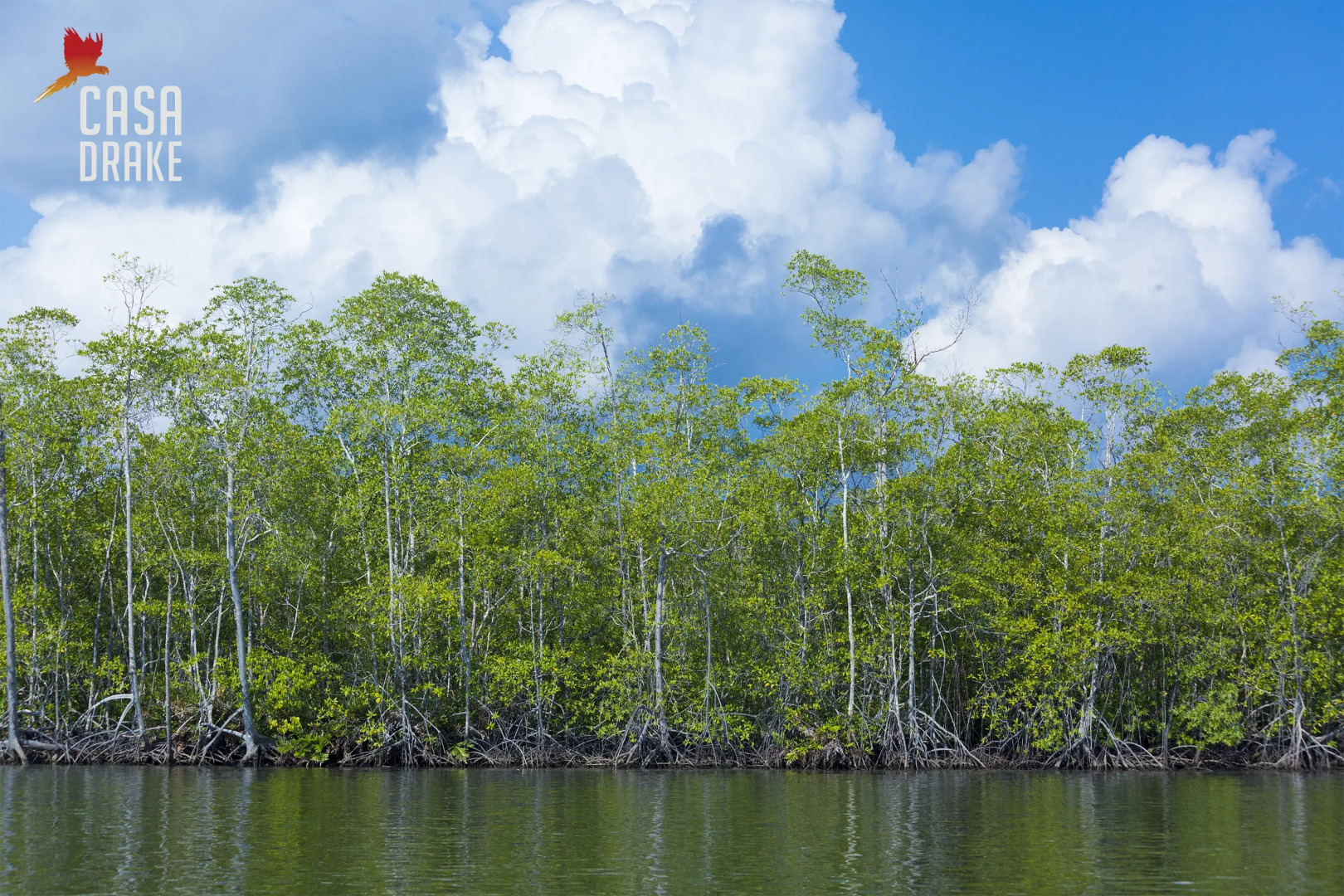 Отель Casa Drake Lodge