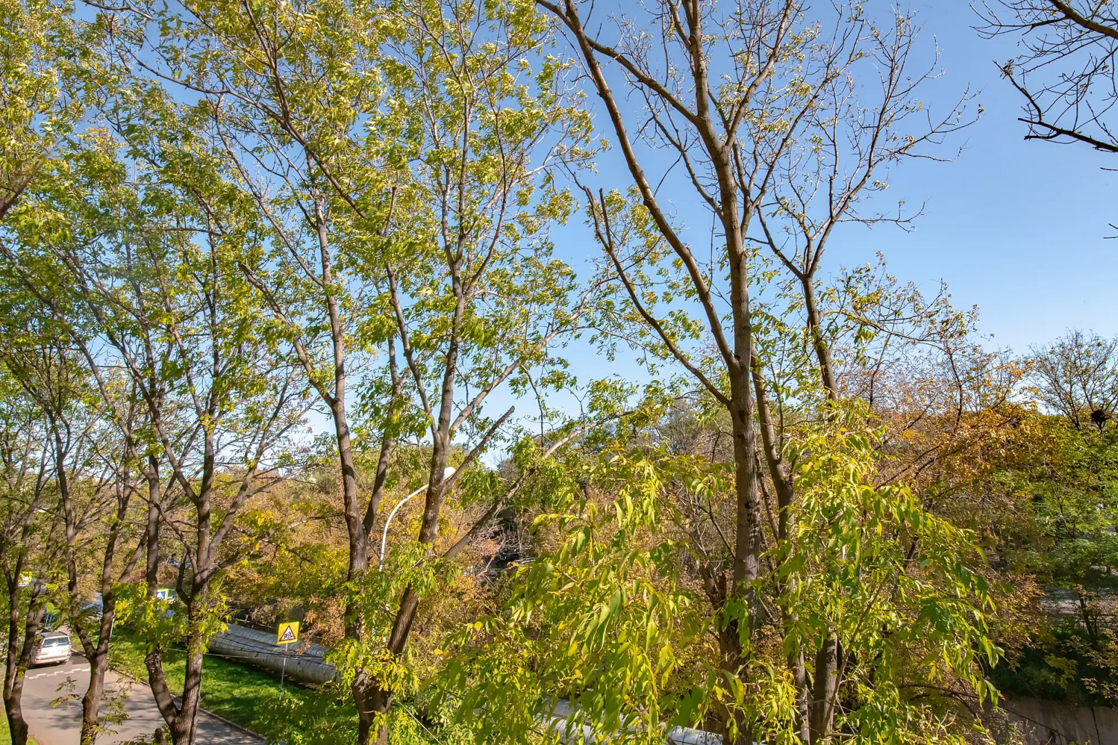 Апартаменты Бородинская 23/9