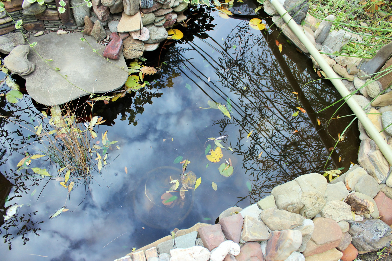 Отель Гермес