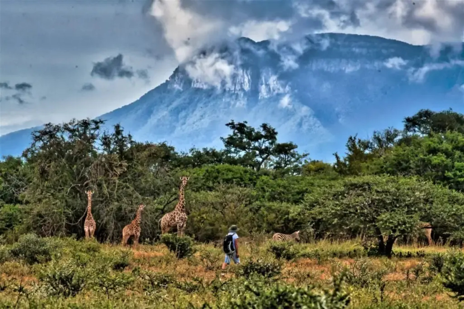 Шале The Hidden Valley