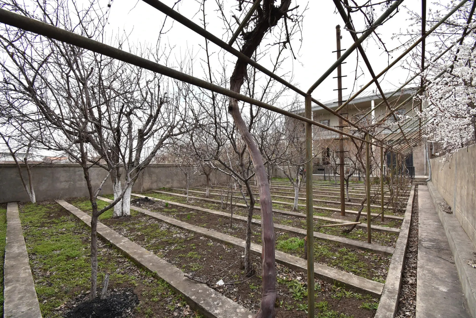 6 комнатный особняк с видом на сад