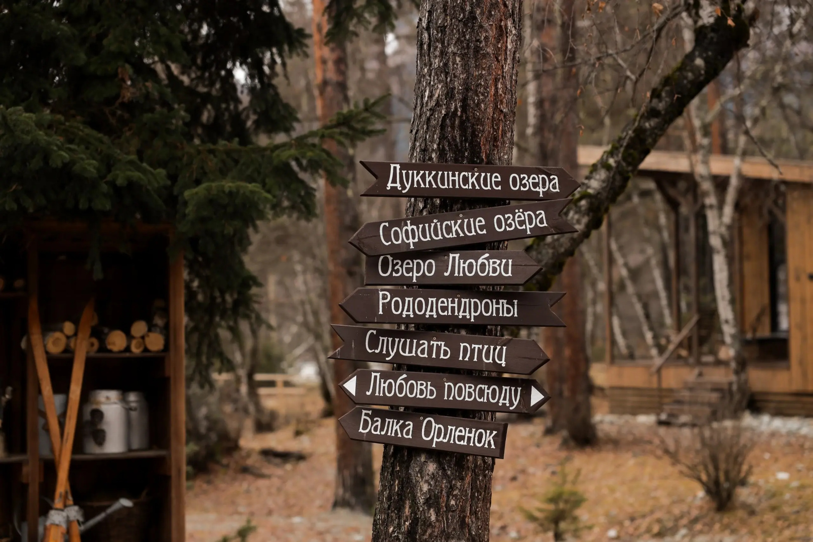 Гостевые дома Шишка