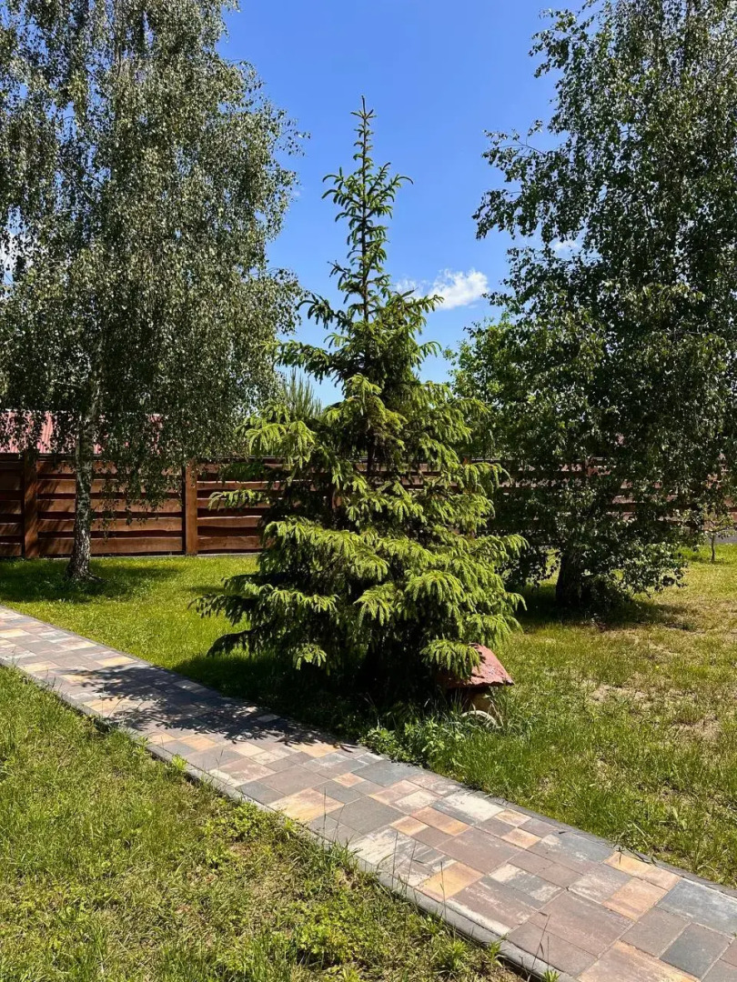 Гостевой дом дом в аренду в Беловежской пуще