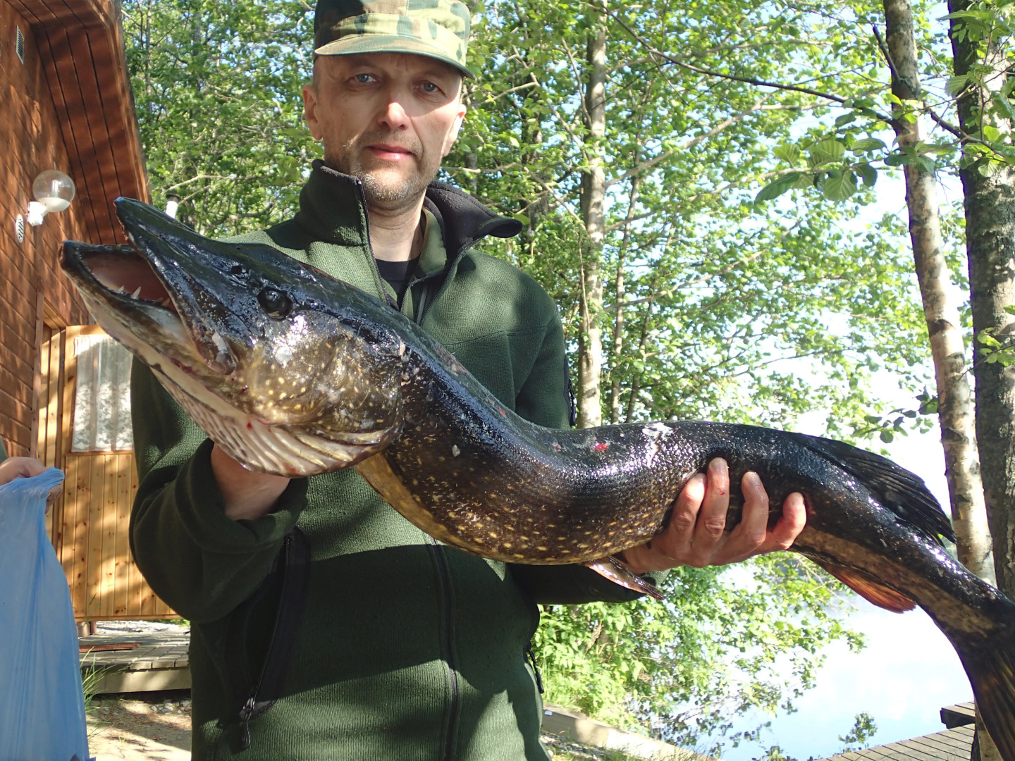 Коттеджи Lomasaaret