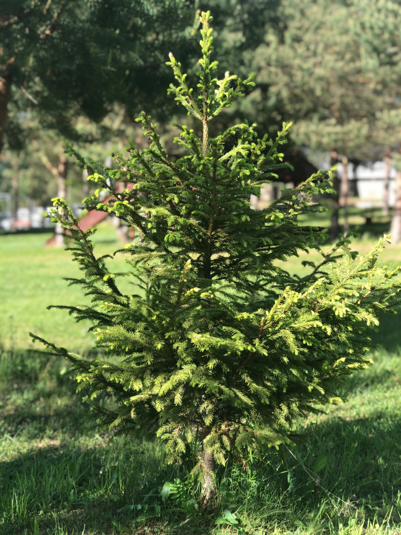 Отель Загородный Лежневская Лагуна