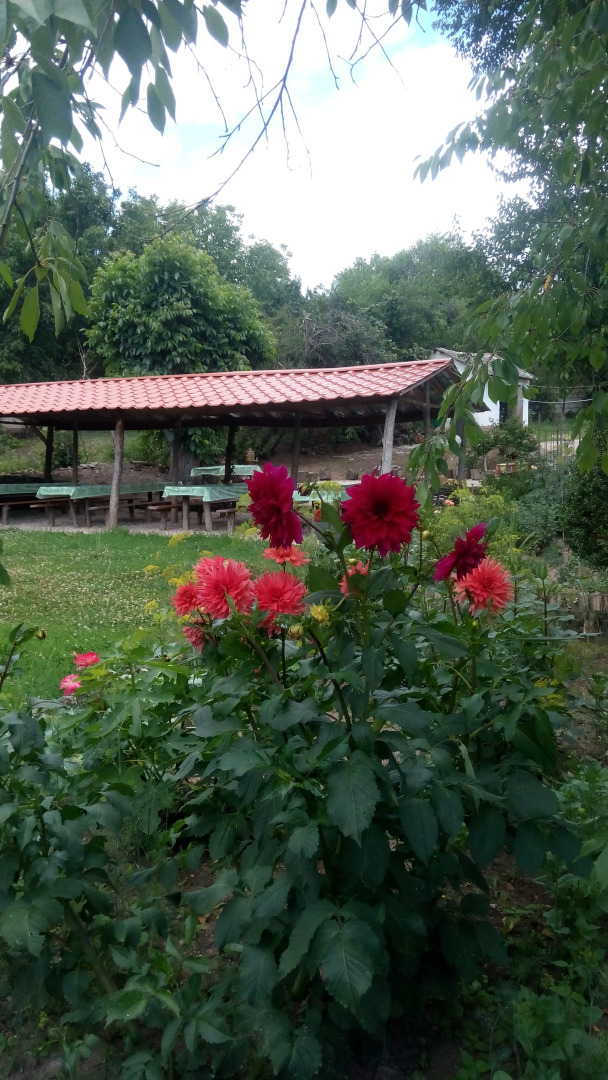 Отель Дикий Крым