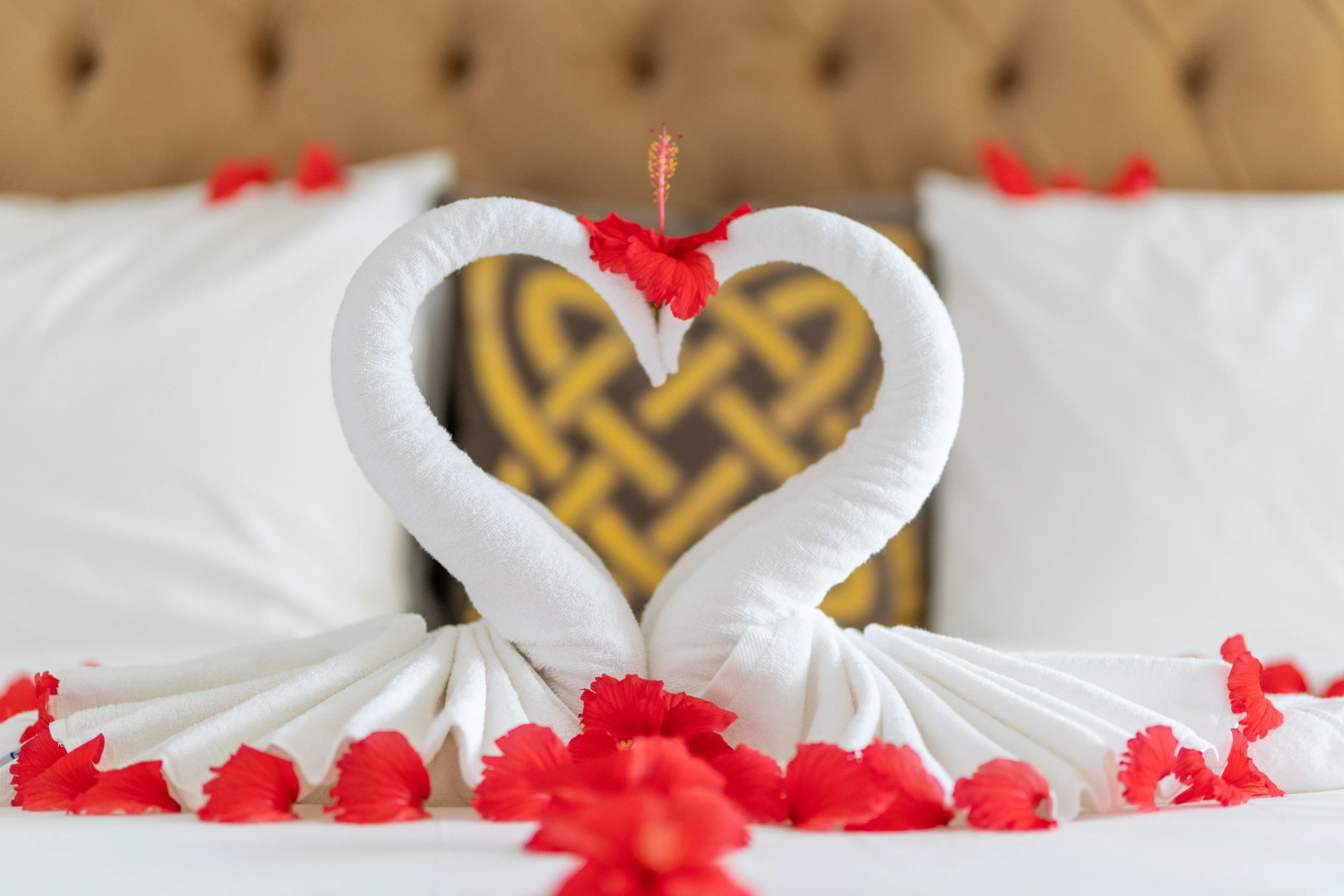 Отель Five Palms