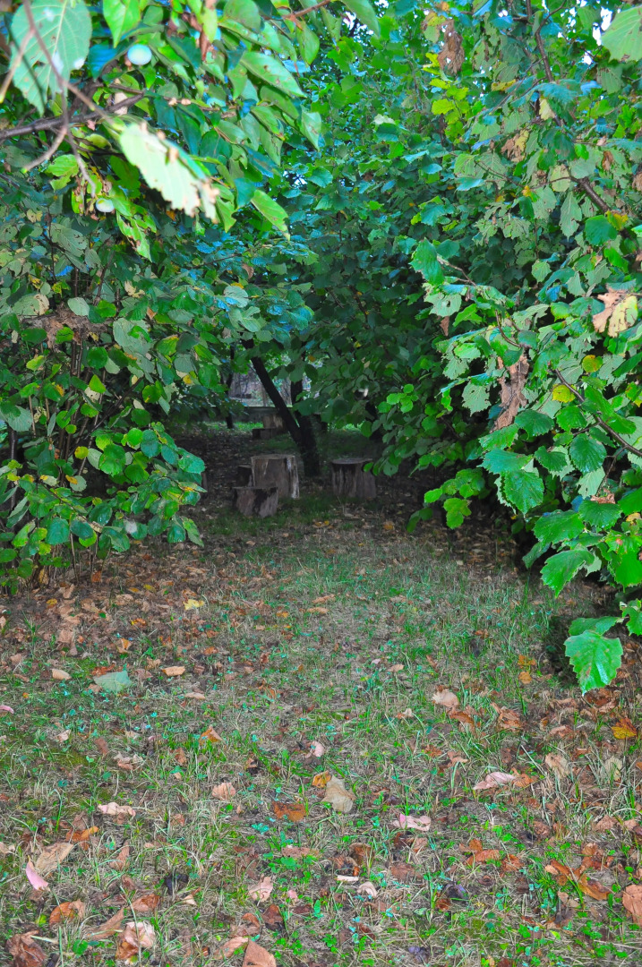 Гостевой дом Kamar