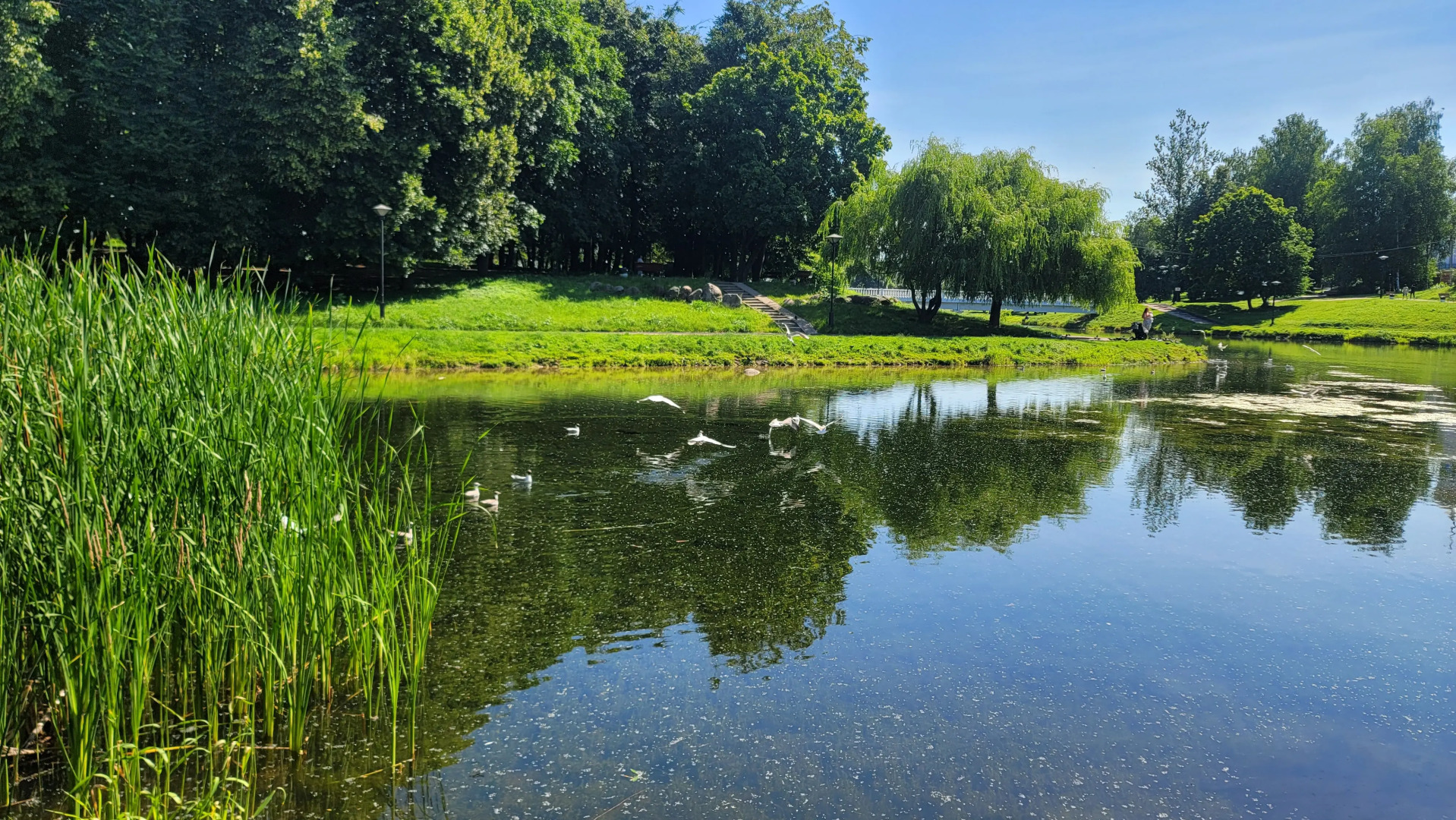 Квартира На Ломоносова у Пруда