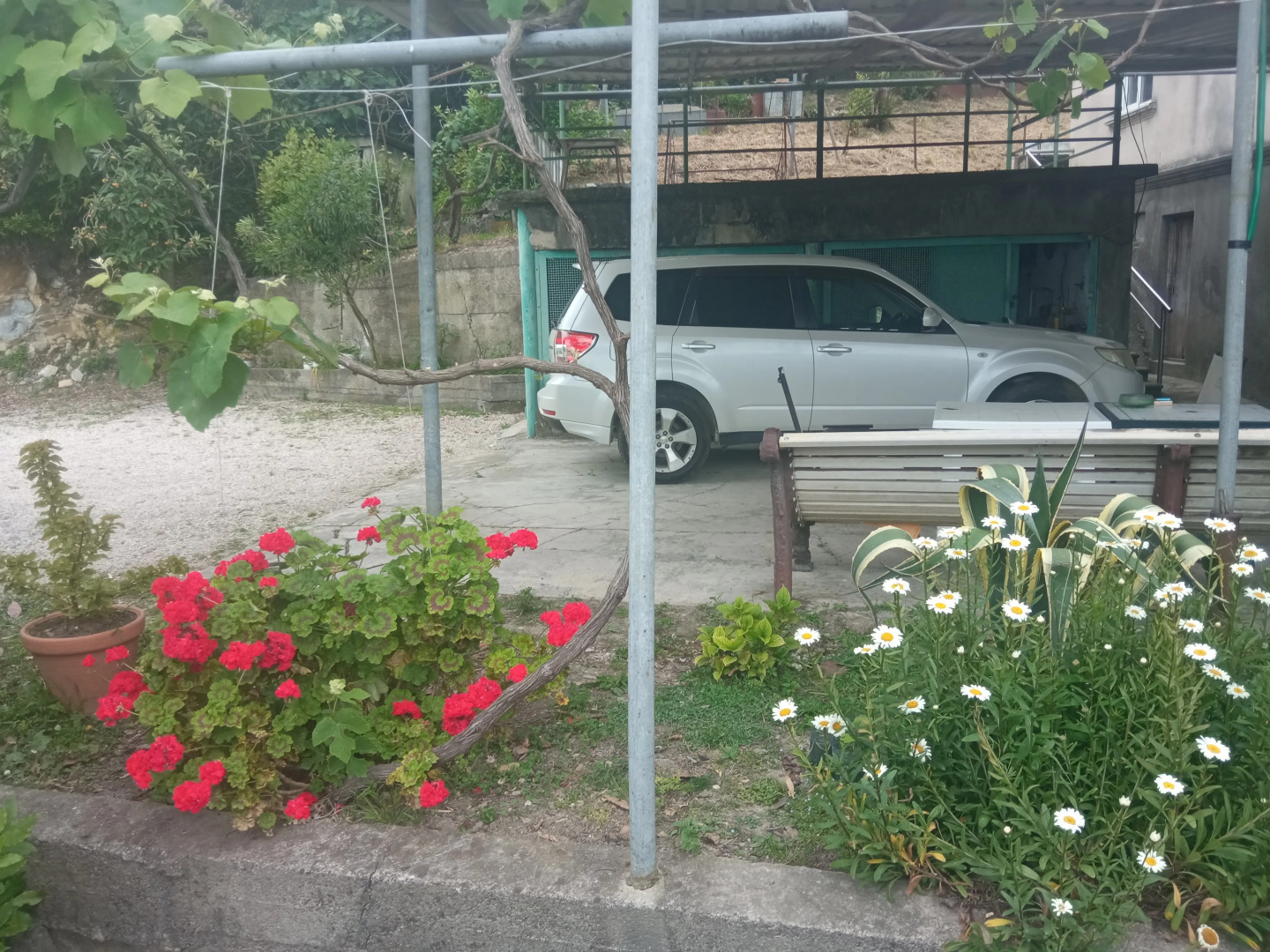 Гостевой дом Мимоза