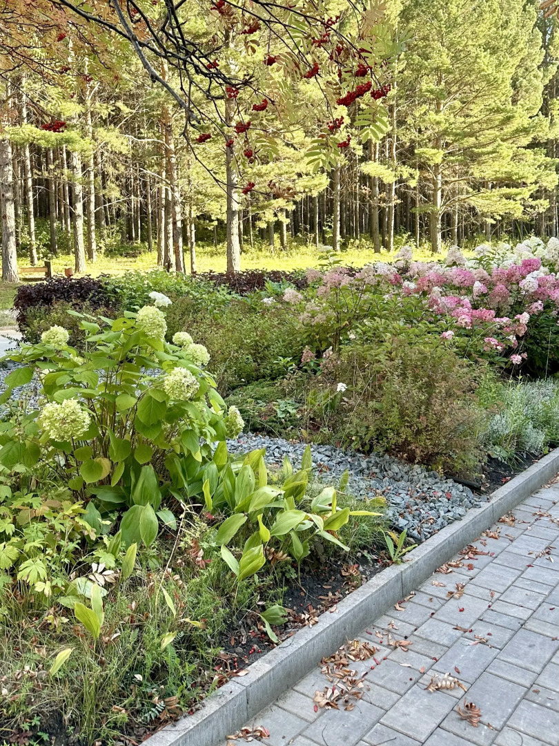 Гостиница Сосновый Бор