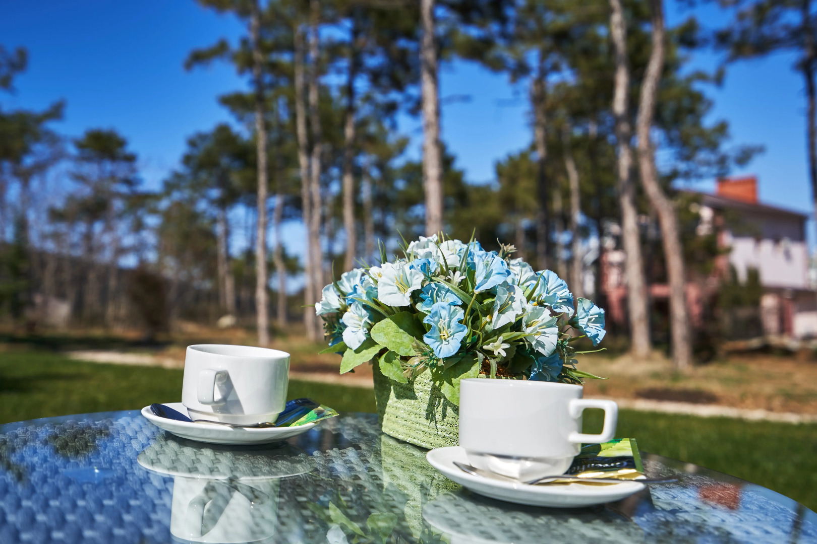 Гостевой дом Розмарин