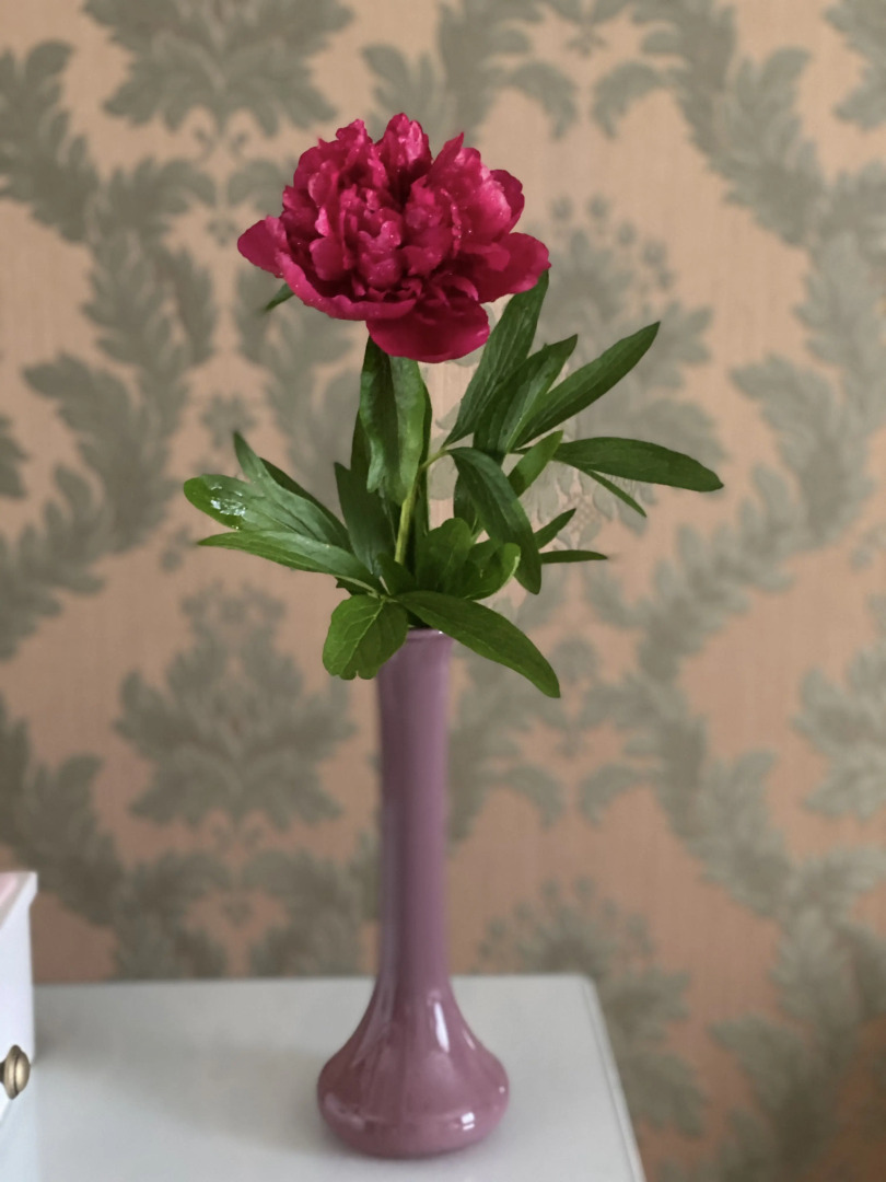 Уютные Апартаменты в историческом квартале Юдиттен