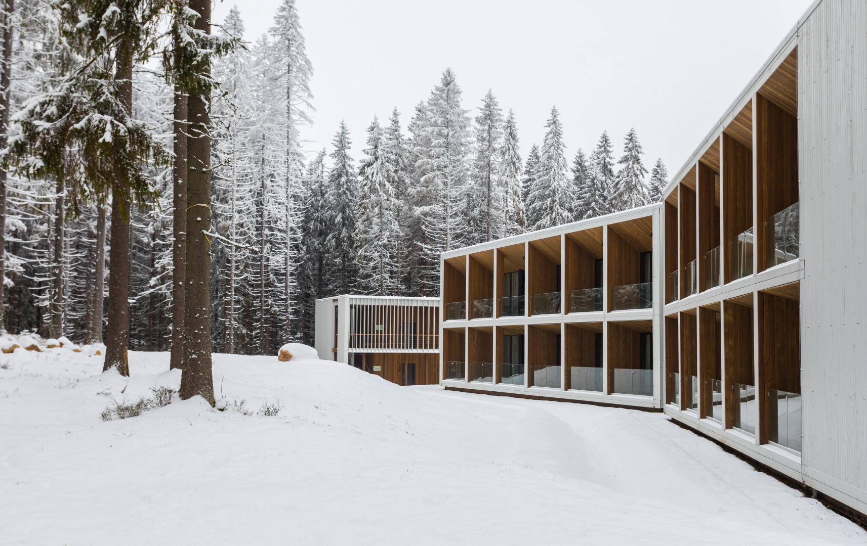 Игора. Времена года Отель