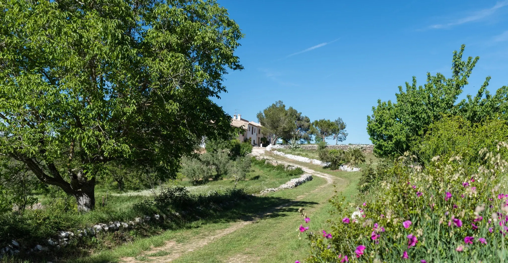 Бутик-Отель Casas Benali