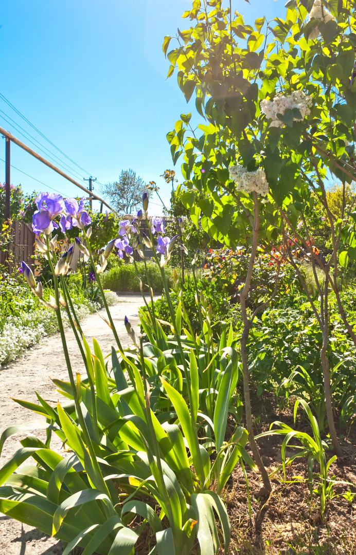Гостевой дом Ленивый Дельфин