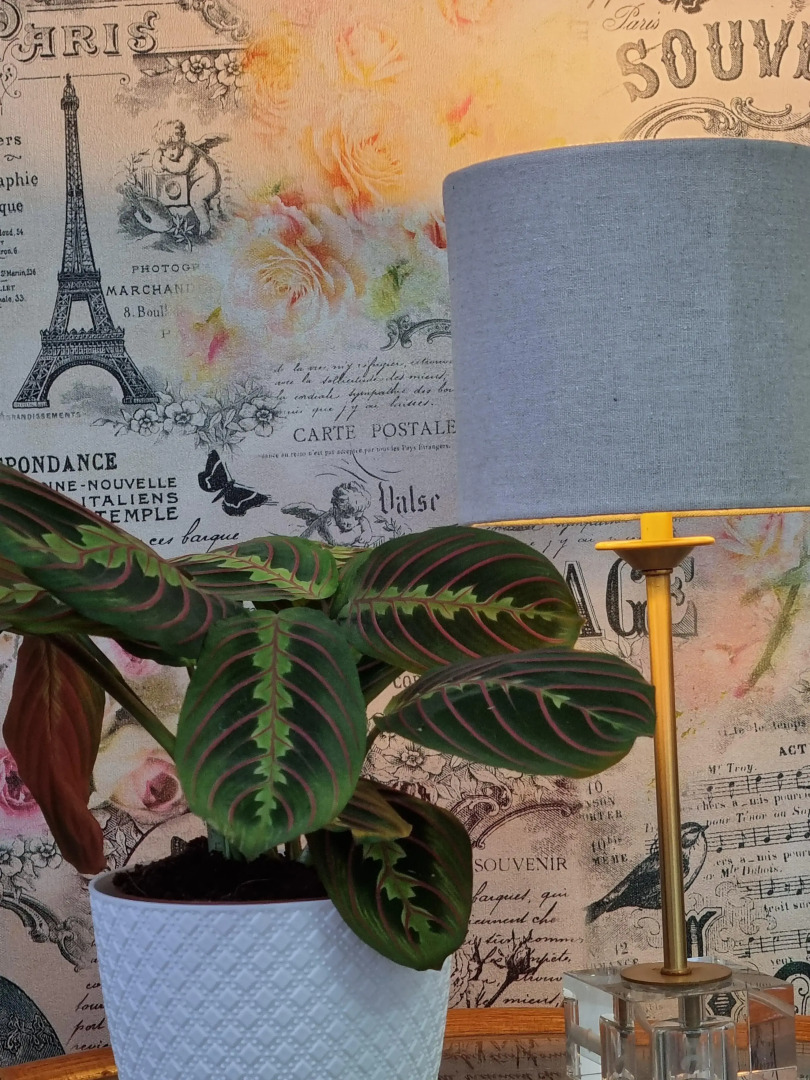 Апартаменты на Рабочей с видом на море