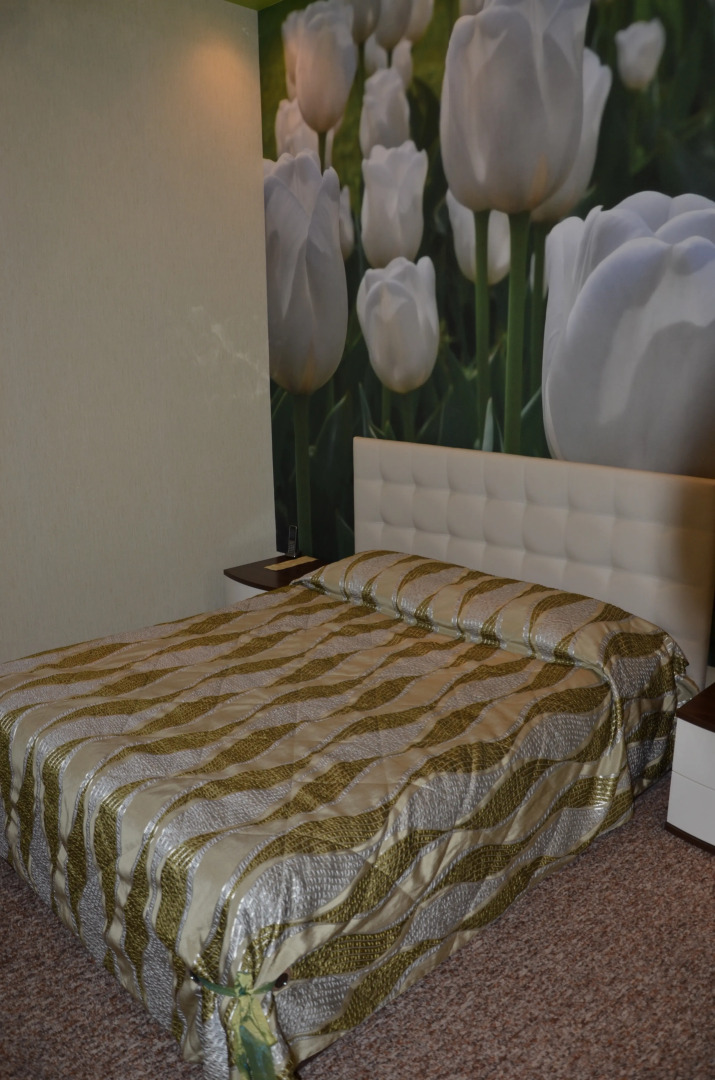 Отель Академия