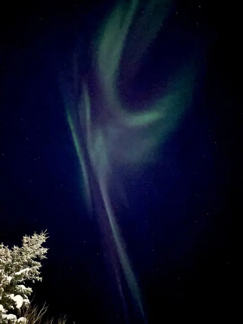 Отель Лапланидия