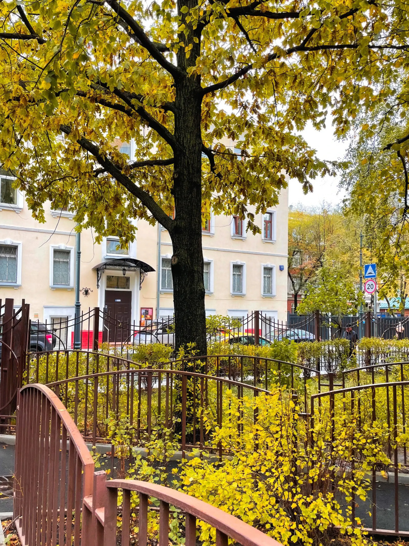 Апартаменты Mira Apartments