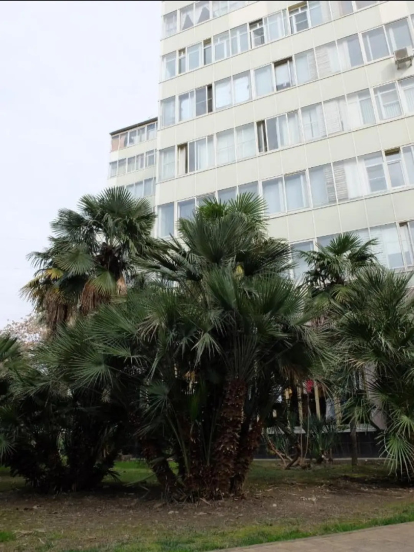 Апартаменты на самой красивой улице города