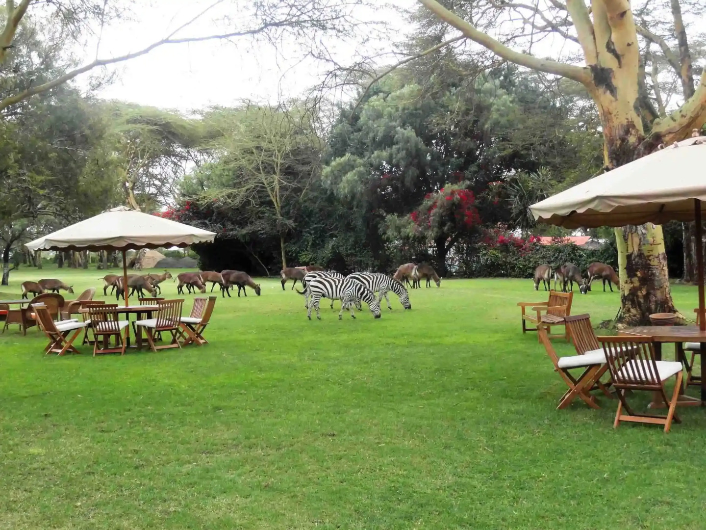 Курортный отель Muthu Lake Naivasha Country Club, Naivasha