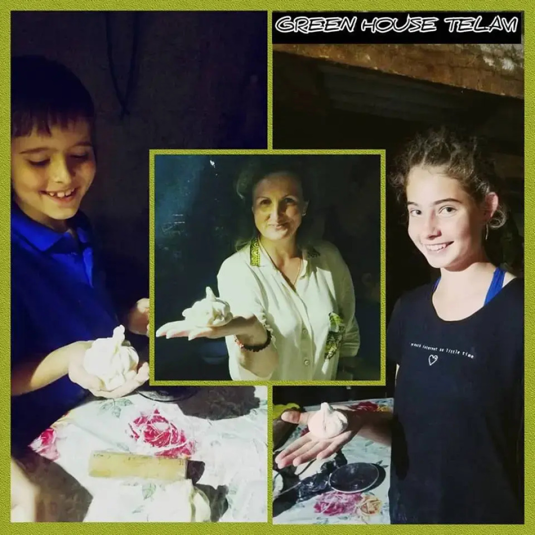 Гостевой Дом Green House Telavi