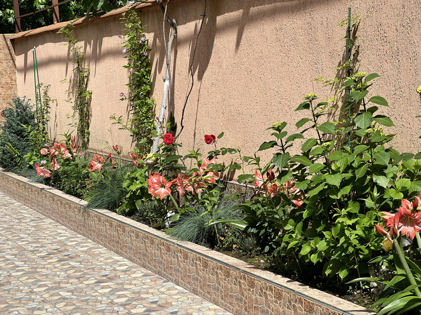 Гостевой дом Сюзи