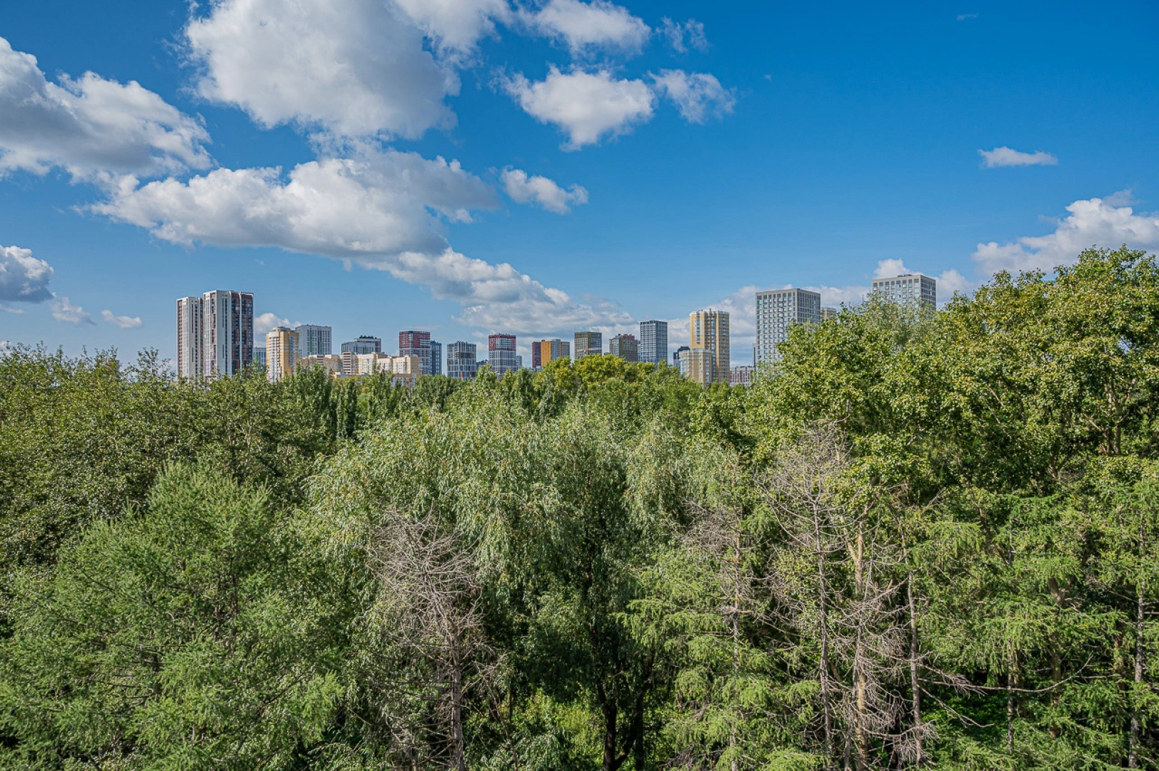 Квартира Уютная 2-к Квартира у Ботанического Сада