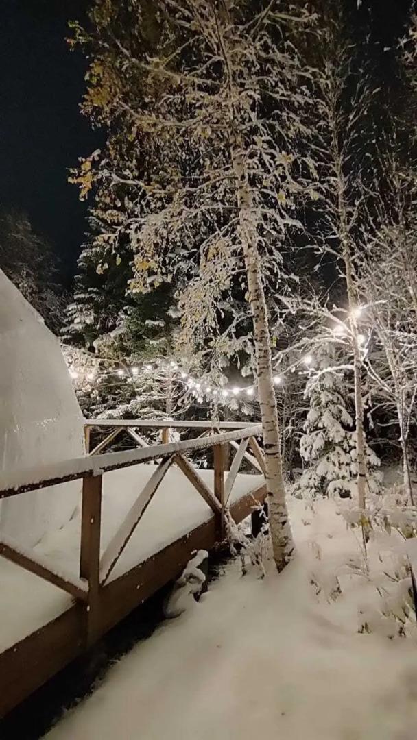 Глэмпинг Grey Home