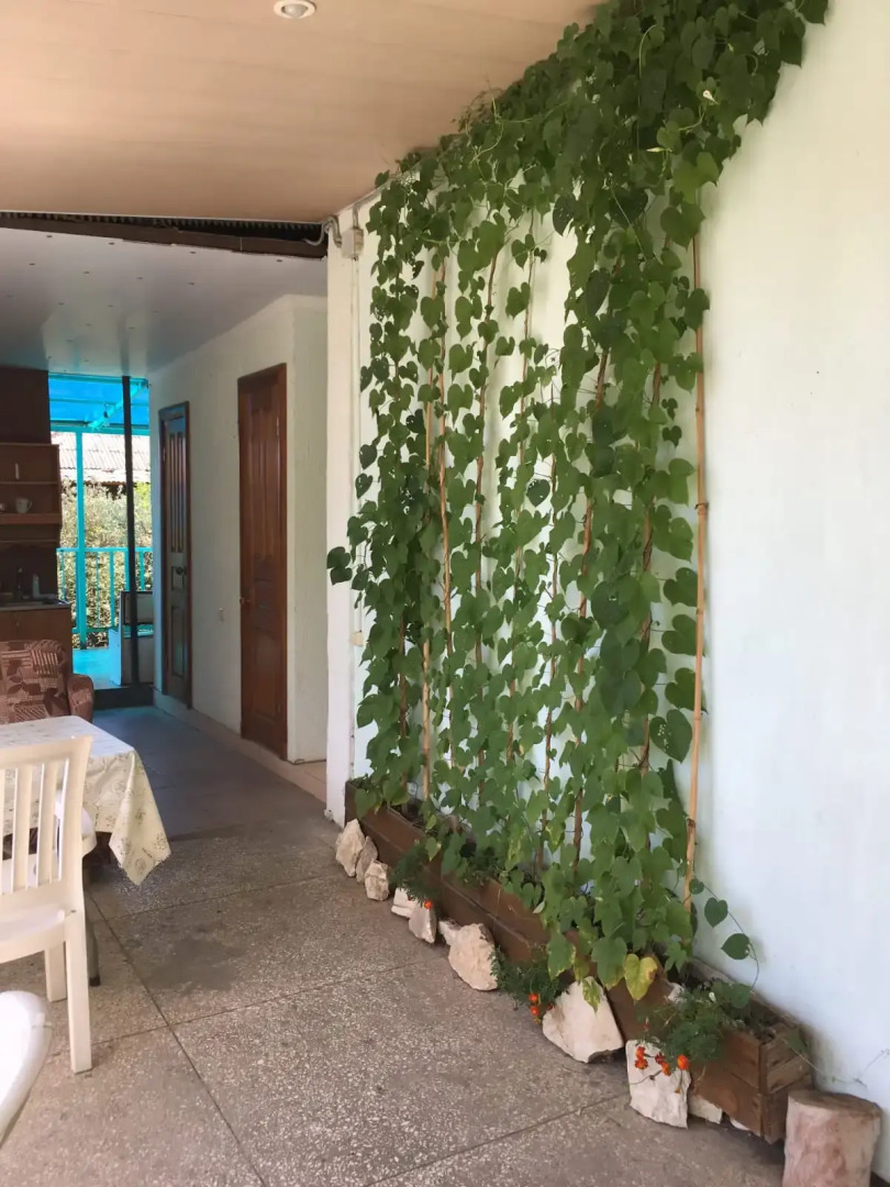 Гостевой дом Зеленый дворик