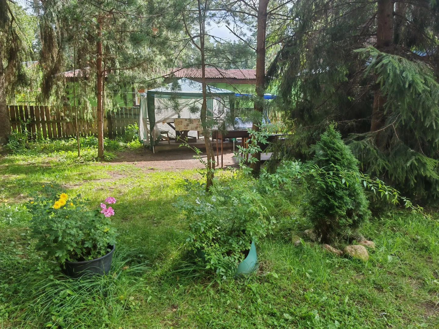 Апартаменты Отдых на Селигере турбаза Чайка