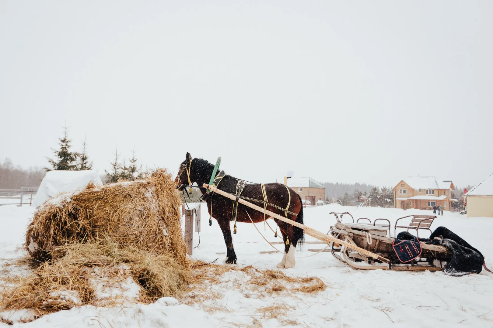 База отдыха Агротуристический комплекс Эль Ранчо