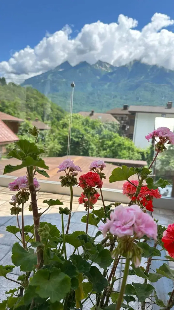 Гостевой дом Куб в Кубе