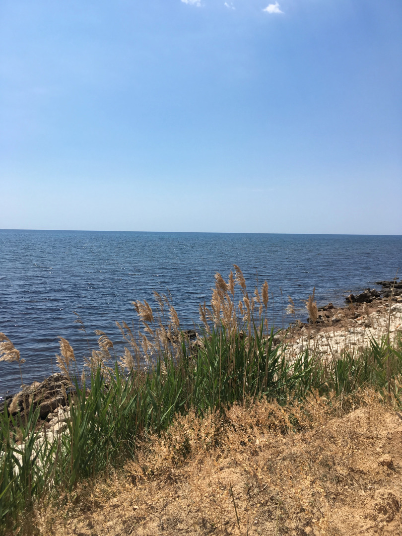 База Отдыха Эко Курорт Морское