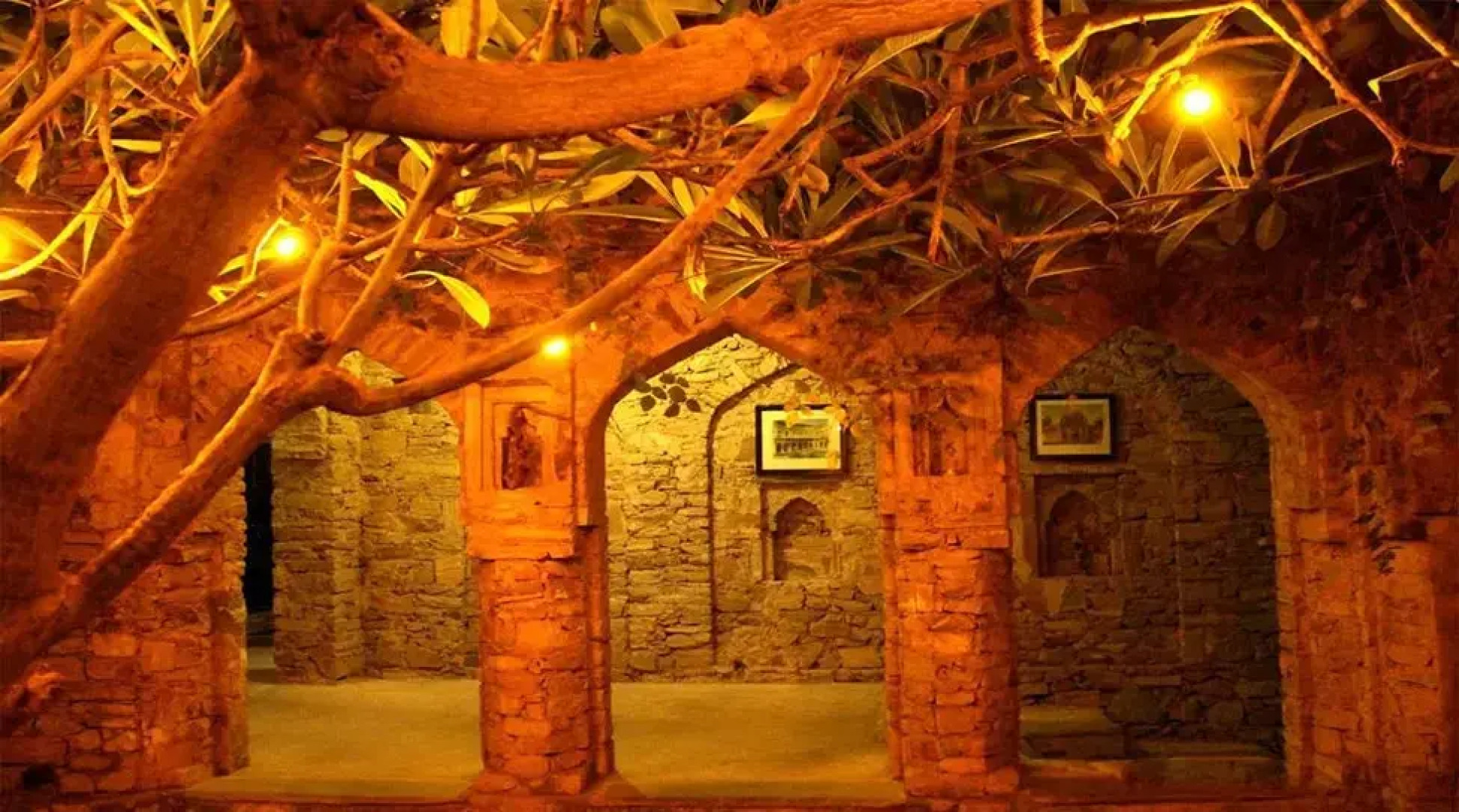 Отель Dadhikar Fort