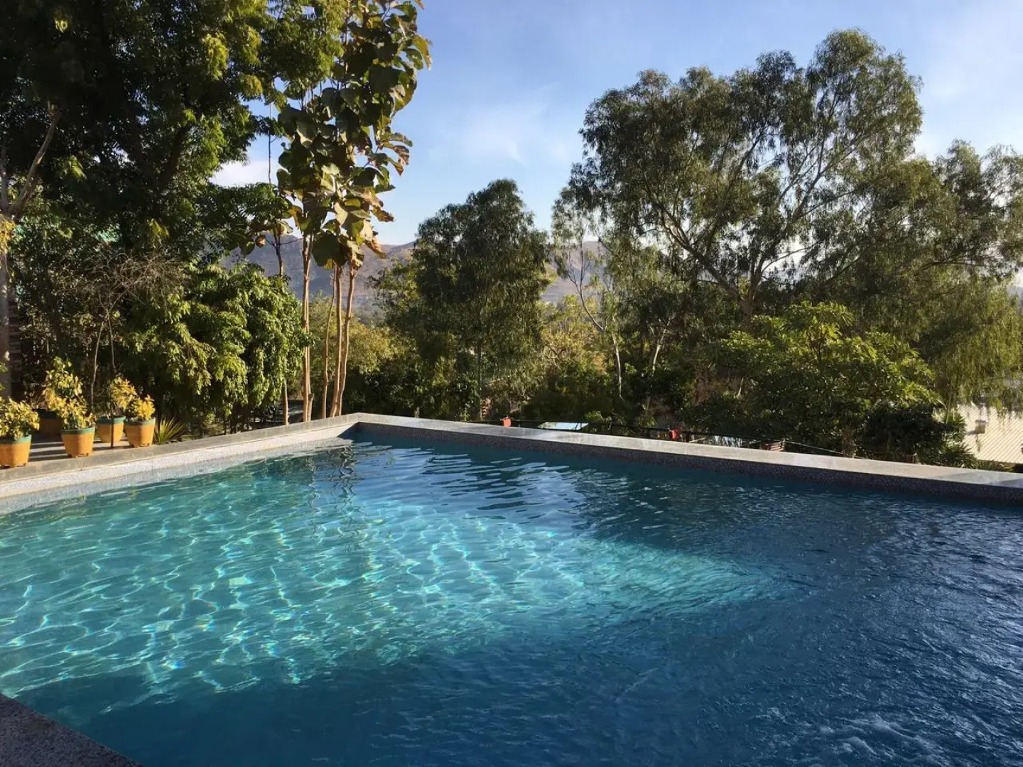 Отель The Space Jungle