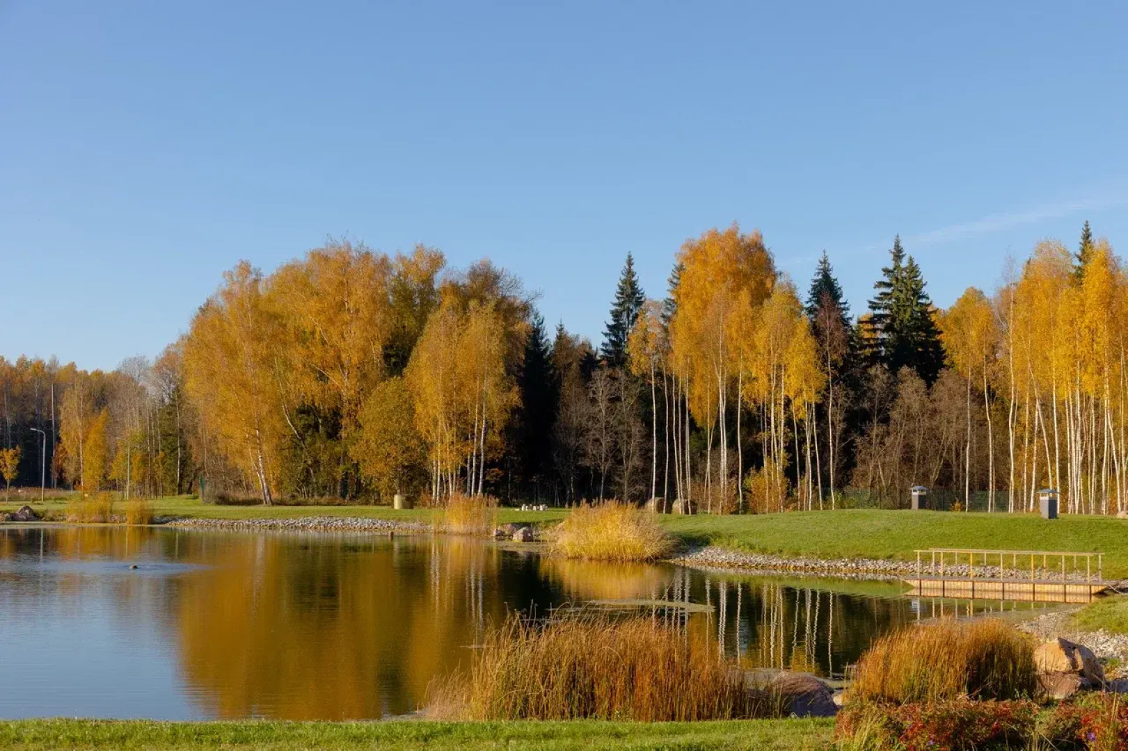 База отдыха Коттеджи Фермы М2