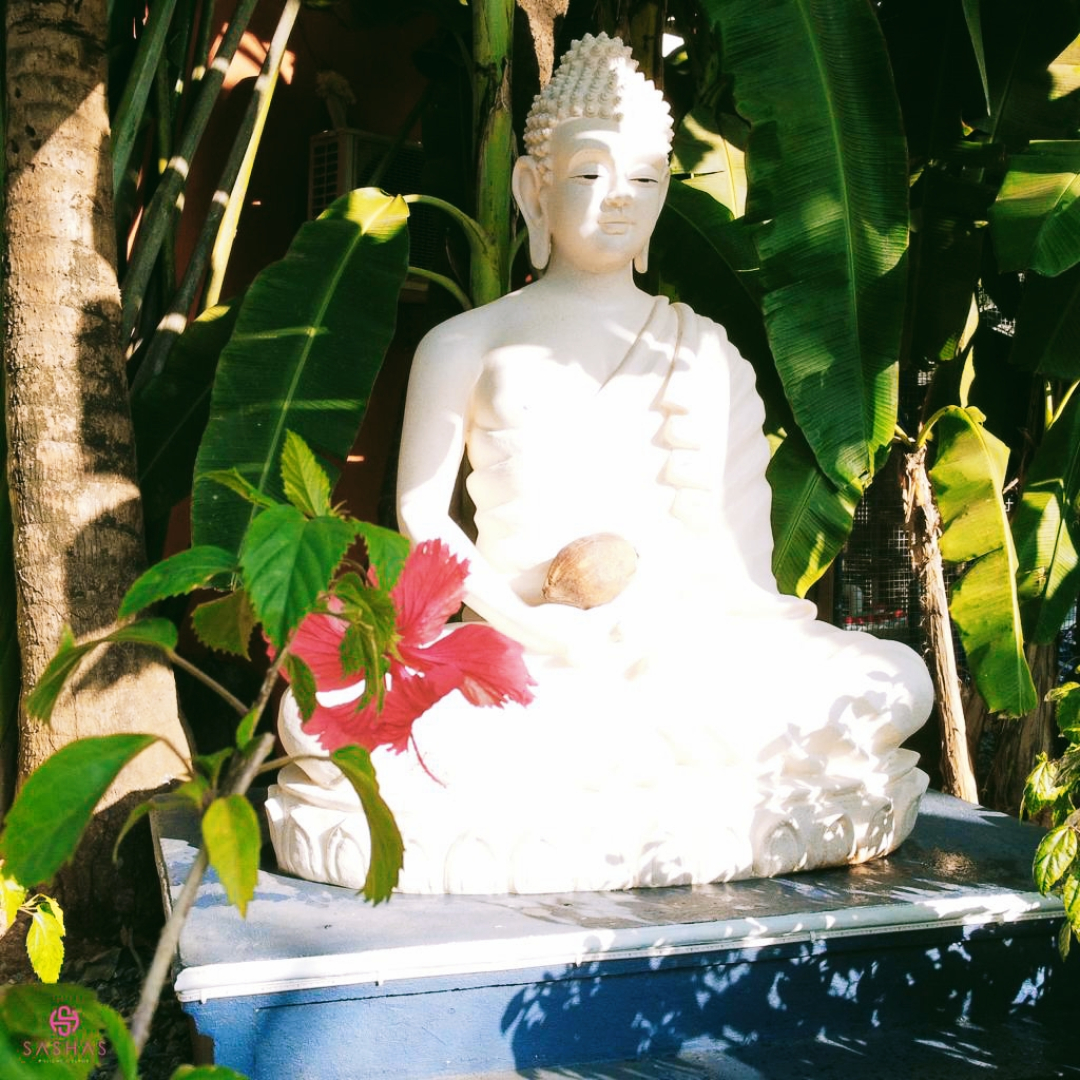 Курортный отель Sashas Holiday Village